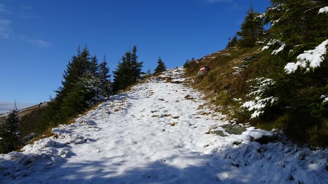 ... über die Baumgrenze und weiter bis zum Alois-Günther-Haus auf 1782 m! ... | Foto: © Silvia Plischek