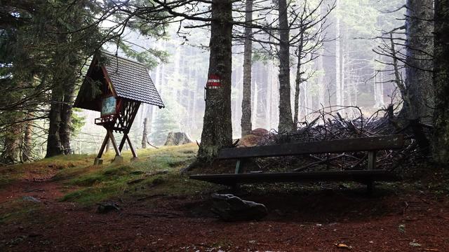 ... &lt;&lt;&lt; Farb- und S/W-Vergleich im gesonderten Bildbeitrag &gt;&gt;&gt; ... | Foto: © S.Plischek