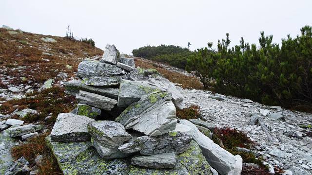 ... "A Stoanamandl" gehört ganz einfach am Gipfelsteig dazu! ... | Foto: © S.Plischek