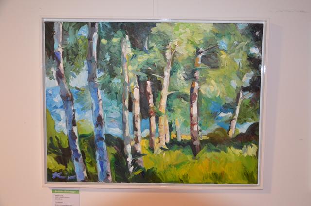 Birkenwald | Foto: Ebner