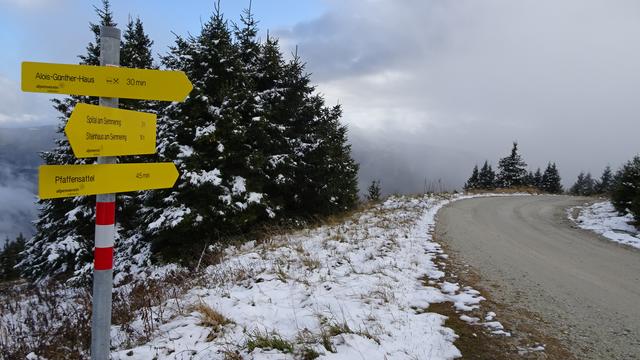 Die letzte Etappe verläuft auf der leicht begehbaren Mautstraße direkt zurück zum Pfaffensattel! ... | Foto: © Silvia Plischek