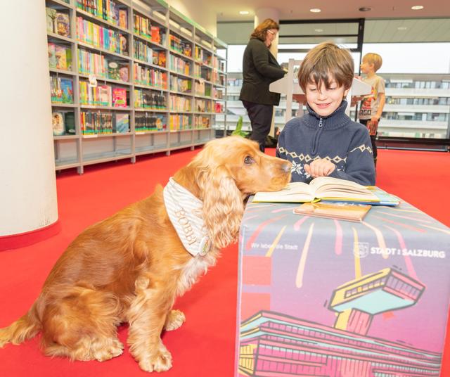 Eugen las dem vierjährigen Cockerspaniel Bobbi vor. | Foto: Stadt Salzburg / Alexander Killer