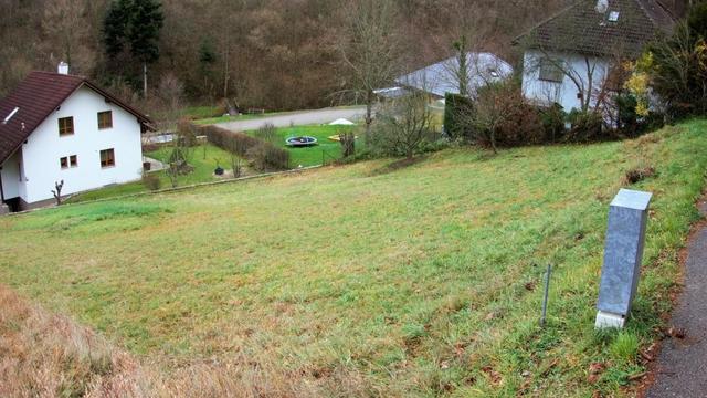 Ihr Baugrund in Traisen.