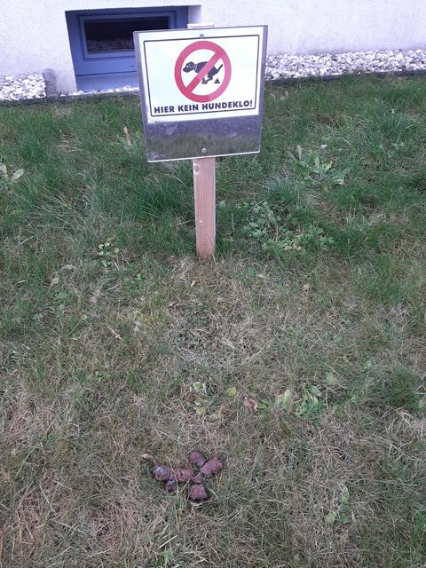 Hundeklo Thema Auf Meinbezirk At