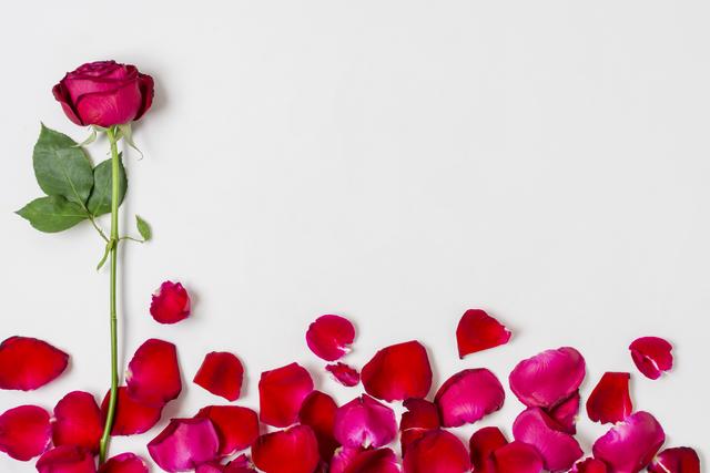 Wir Haben Die Schonsten Geschenkideen Zum Valentinstag Telfs