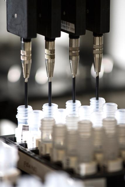 Der Täter konnte durch DNA-Spuren, die er an den Tatorten hinterließ, ermittelt werden. | Foto: unsplash/NCI (Symbolfoto)