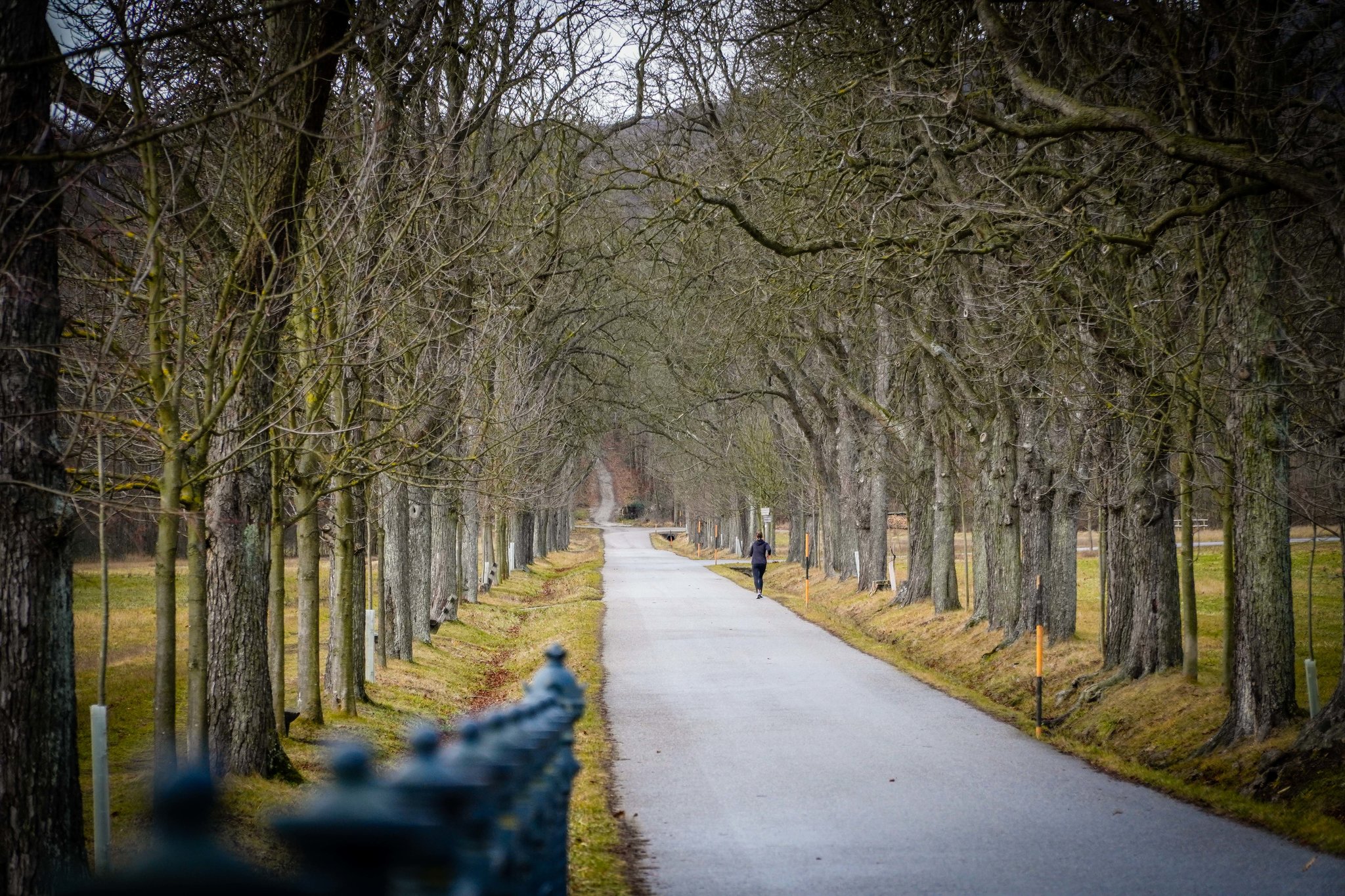 #Wienerwald #Tulln #Erkundungstour #Ausflug #Ausflugstipps. Wien ist eine sehr grne Stadt mit einem riesigen Grngrtel, dem Ein Roadtrip nach Slowenien und Kroatien ist der ideale Weg, die beiden Lnder nher kennenzulernen. Die 19 besten Bilder zu Ausflugstipps | Ausflug, Umgebung