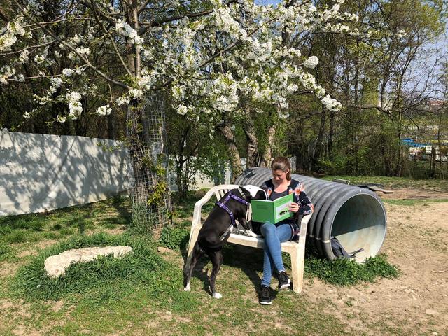 "Ersatz- Frauchen" liest hier der Hundedame "Smilla" etwas vor | Foto: Bernadette Weber