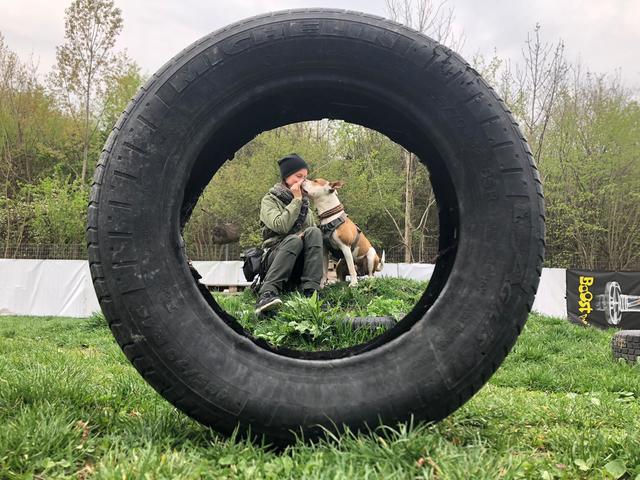 Spike ist ganz handzahm - er wartet noch im Tierheim auf seine Menschen  | Foto: Bernadette Weber