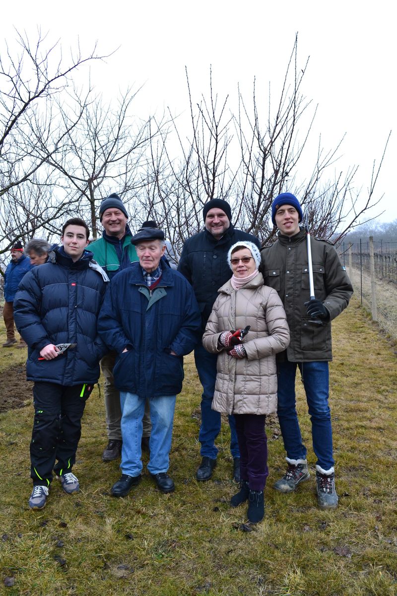 Obstbaumschnitt Thema Auf Meinbezirk At