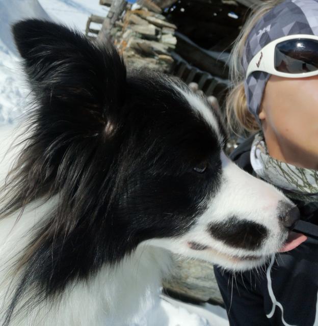 Rüde "Cory" mit seinem Frauchen | Foto: Martina Pirchner