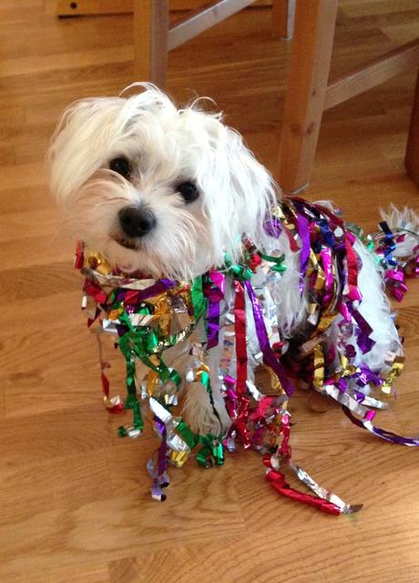 Der 7 Jahre alte Mesi hilft gern beim Schmücken für Parties | Foto: Anna Rompalska