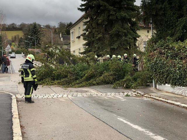 Foto: FF Klosterneuburg