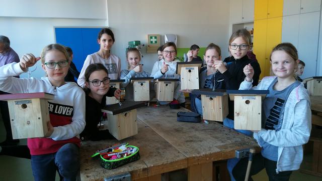 Die Schüler der NMS Hofkirchen zeigen stolz ihre gebauten Nistkästen. | Foto: Silvia Pichler/NMS Hofkirchen