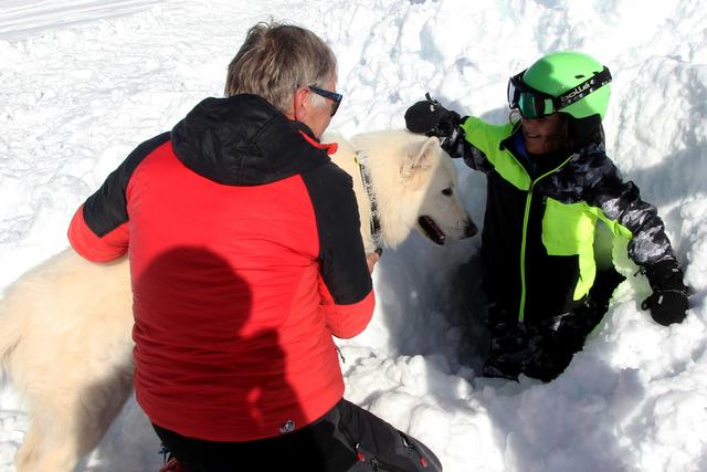 Lawinenhund im Einsatz | Foto: Skisafari Team