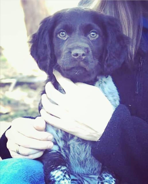 Hündin Amy auf dem Schoß von Frauchen | Foto: Elisabeth Jammerbund