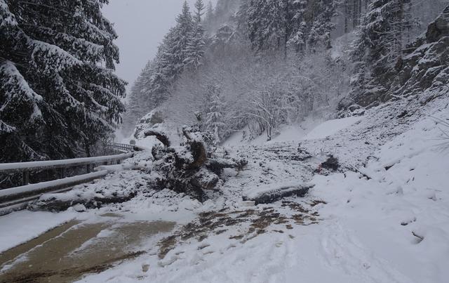 Längerfristige Straßensperre nach einem Murenabgang auf die B 171 Tiroler Straße zwischen Pians und Strengen.  | Foto: Land Tirol