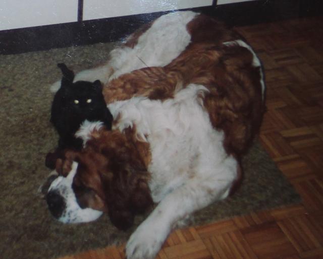 Hundeherr Ticci lässt sich von Schnurli alles gefallen | Foto: Antonin Sprinzl