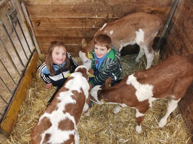 Anina (8) und Matheo (7) Neuschitzer aus Treffling gaben den Drillingen die Namen Sarah, Sissi und Susi.