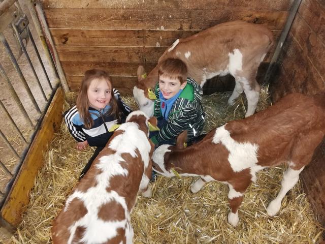 Anina (8) und Matheo (7) Neuschitzer aus Treffling gaben den Drillingen die Namen Sarah, Sissi und Susi. 