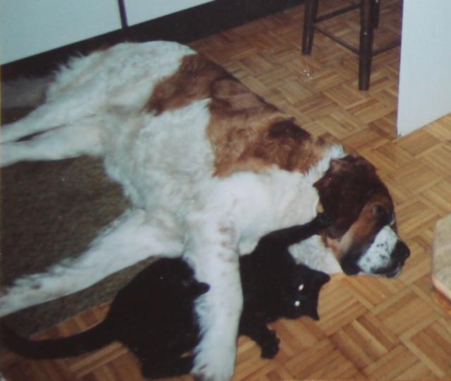 Hund Ticci mit seiner liebsten Freundin Schnurli | Foto: Antonin Sprinzl