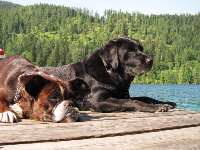 Lana &amp; Linn entspannen am Erlaufsee | Foto: Sonja Schweinhammer