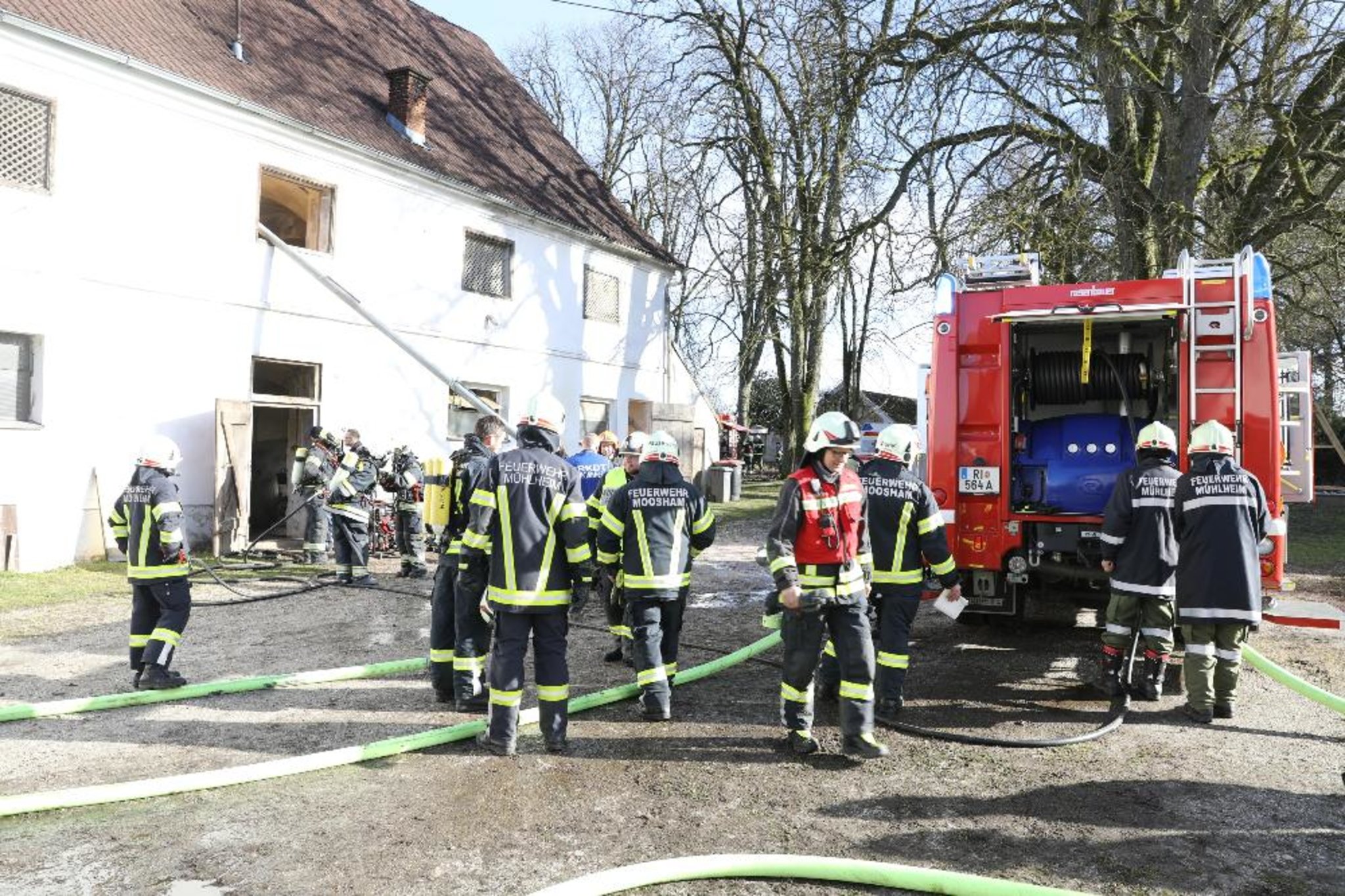 Brand in Schweinestall: Stroh entzündete sich in einem Schweinestall in ...