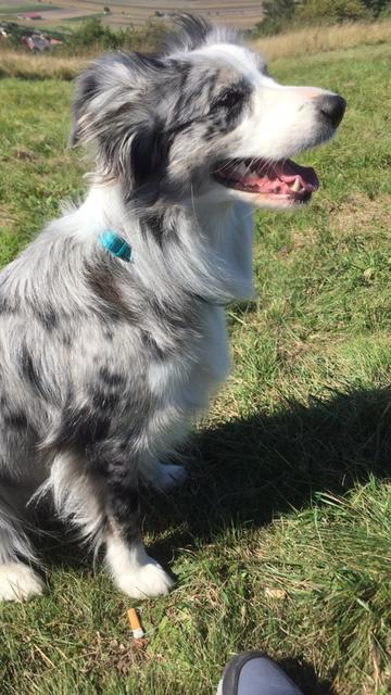 "Vom Winde verweht!"  | Foto: Jasmin Döttl