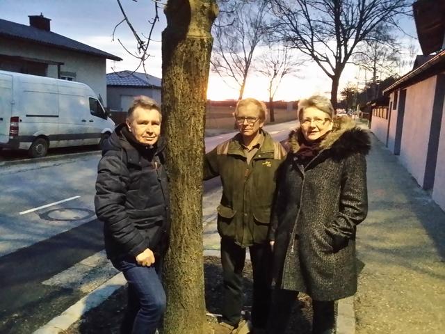 Im Herbst sollen dann die neue Bäume eingesetzt werden: Rudolf Göttinger, Adi Schmid und Magdalena Batoha.
