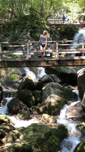 Viele Ausflüge macht er mit seinem Frauchen | Foto: Olga Wieser