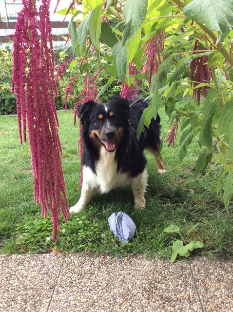 Makaio Highnoon ist für sein Leben gerne draußen unterwegs | Foto: Olga Wieser