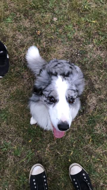 Mimi ganz brav | Foto: Jasmin Döttl