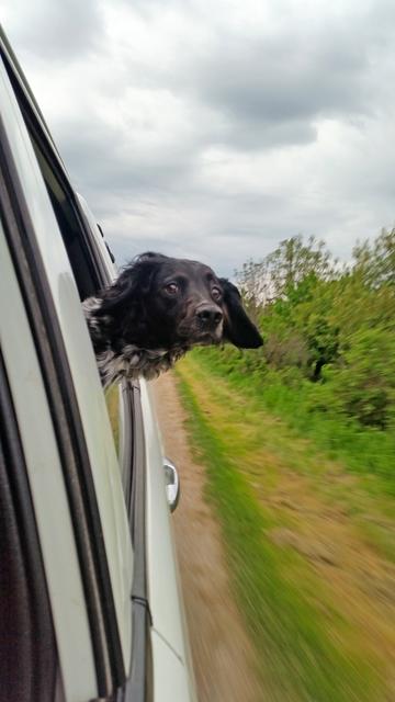 "Was guckst du?" - Aida auf großer Fahrt | Foto: Barbara Hammer