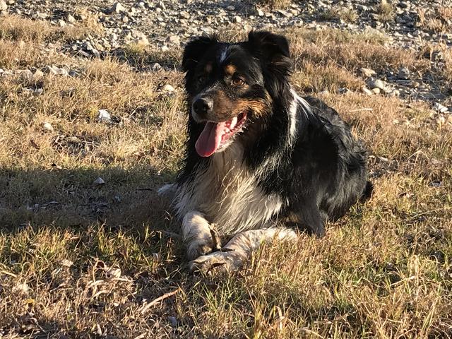 "Rasten muss auch mal sein" | Foto: Olga Wieser