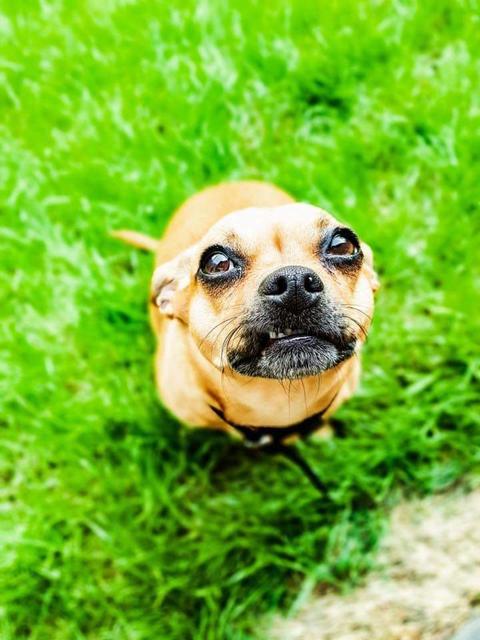 "Einmal grinsen, bitte" | Foto: Verena Latinovich