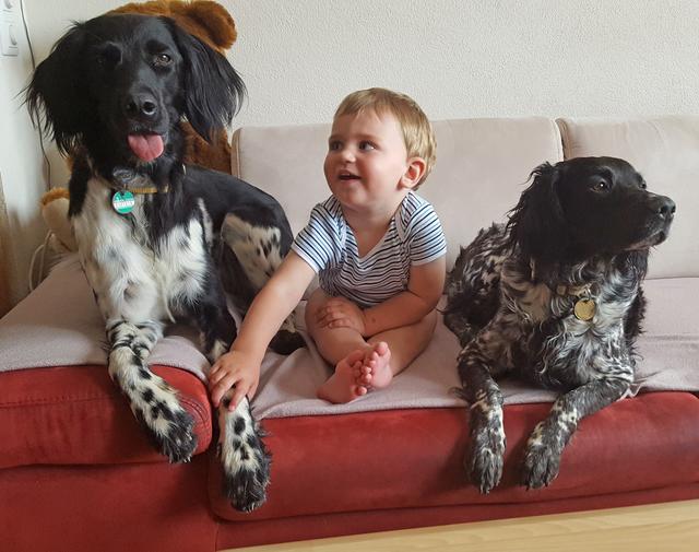 Hündin Aida mit dem Neffen Luis  | Foto: Barbara Hammer