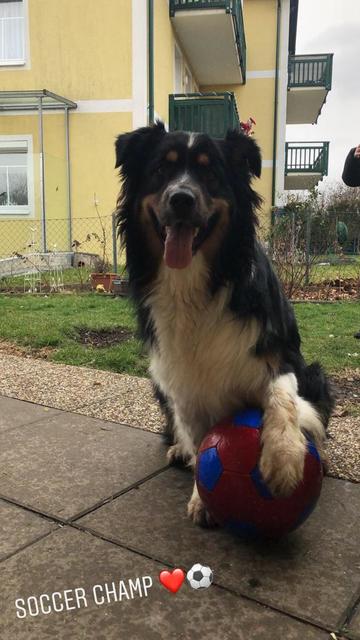 "Soccer Champ" | Foto: Olga Wieser