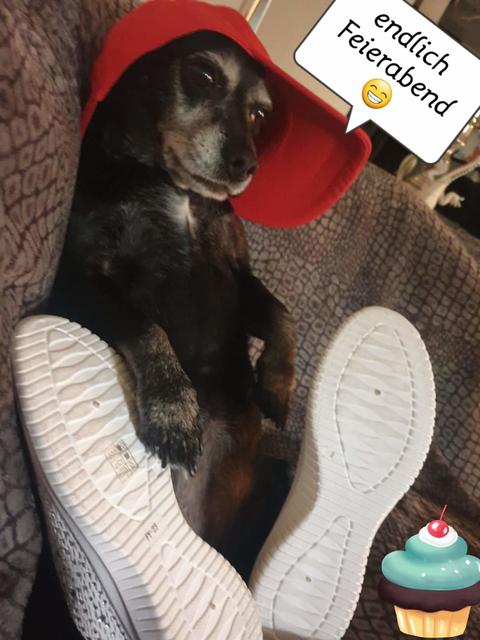 Coco ganz lässig mit Kapperl | Foto: Verena Latinovich