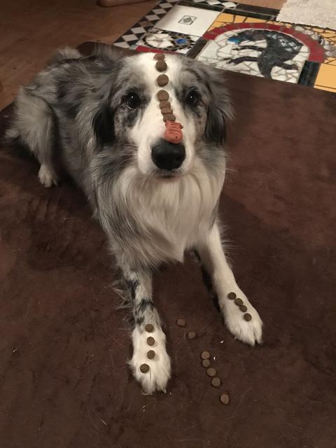 Mimi wird hier auf eine Geduldsprobe gestellt | Foto: Jasmin Döttl