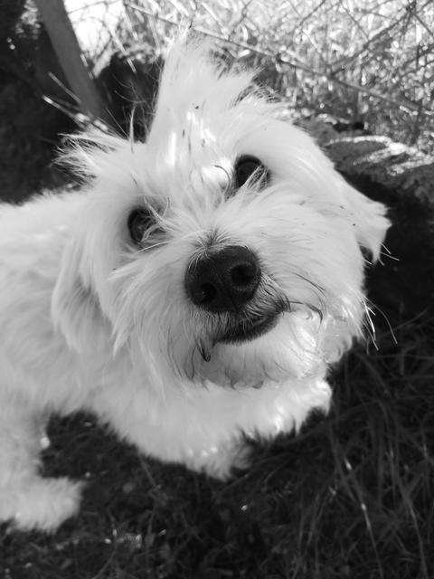 "Fotografierst du mich da etwa?" | Foto: Yvonne Herzog