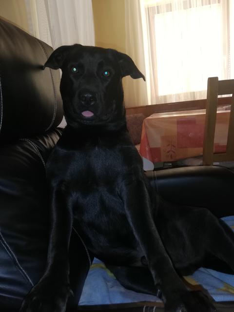 "Never ending love story" - Falco beansprucht den Platz ganz für sich | Foto: Isabella Widerna