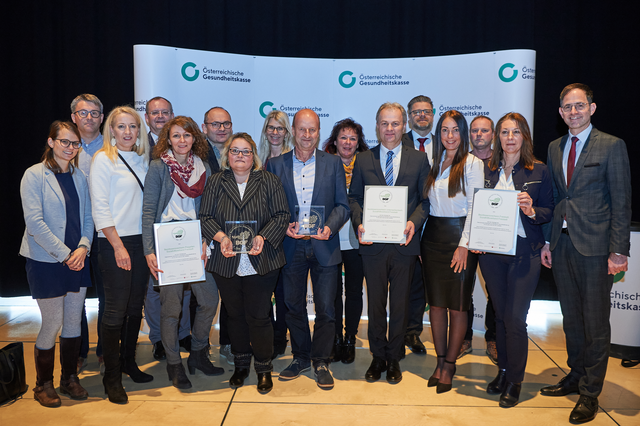 Die Projektgruppen des SHV Freistadt bei der Verleihung des Gütesiegels "Betriebliche Gesundheitsförderung". | Foto: cityfoto.at/Peter Mayr