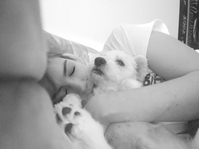 Hündchen Marley beim Kuscheln mit Frauchen | Foto: Yvonne Herzog