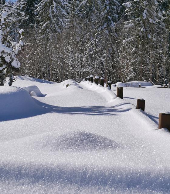 Tief verschneiter Zaun