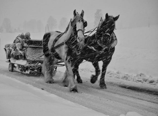 Auch bei Schnee und Sturm waren Pferdekutschen unterwegs