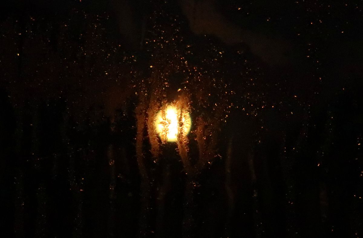 Geheimnisse Des Vollmondes Mystischer Vollmond Spittal