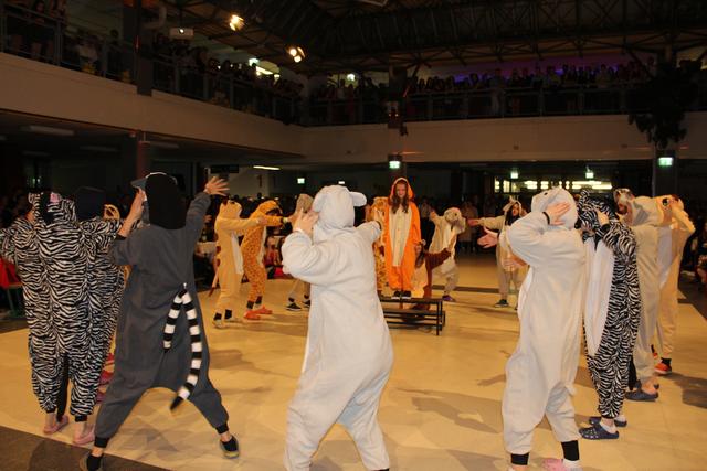 Foto: Katrin Löschnig