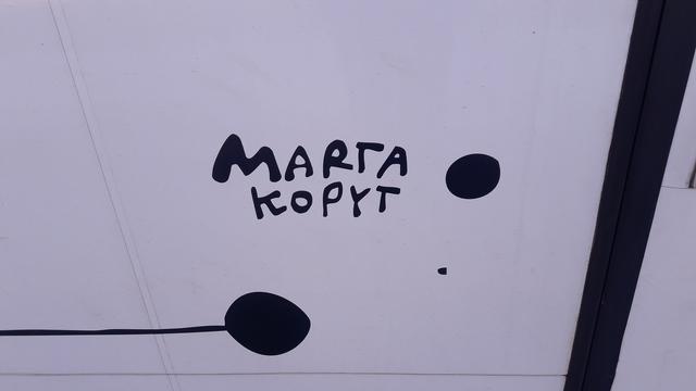 Marta Kopyt ist eine polnische Künstlerin, sie hat den Waggon außen so gestaltet  | Foto: I.Wozonig