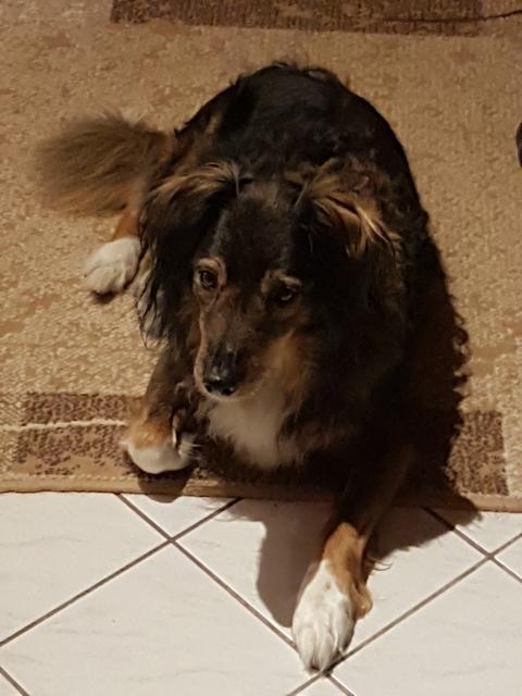 Foto: Brigitte Böhm