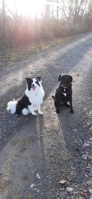 Die beiden besten Freunde Jordan &amp; Hanny | Foto: Claudia Weninger